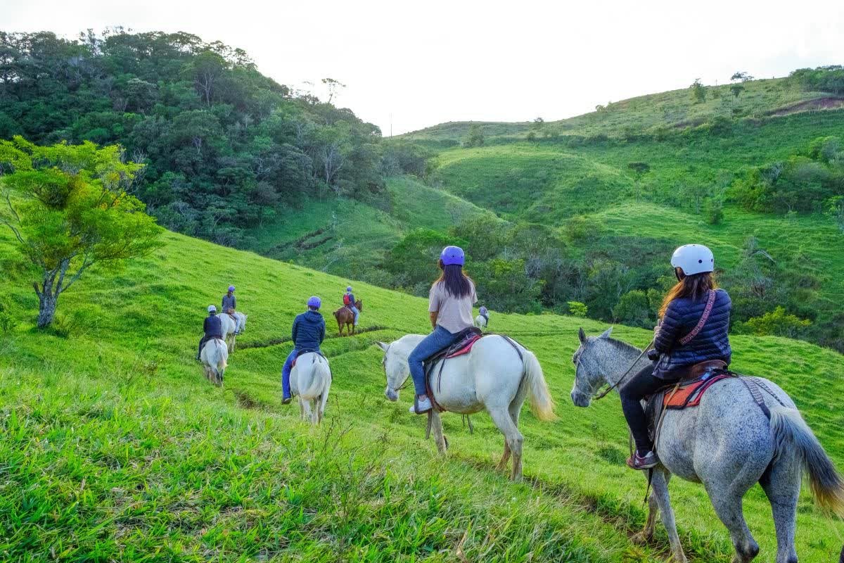 Horseback Riding