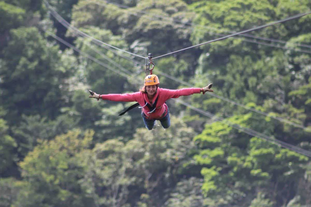 Zipline & Canopy